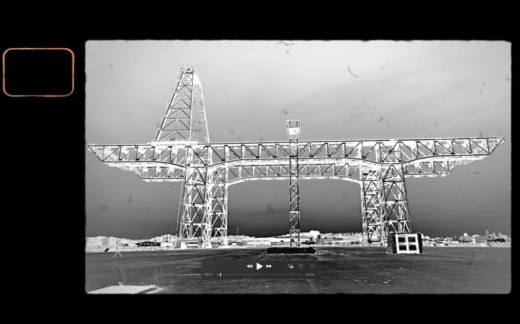 decorative Crane image in BW
